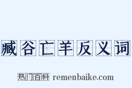 臧谷亡羊反义词是什么意思的图片